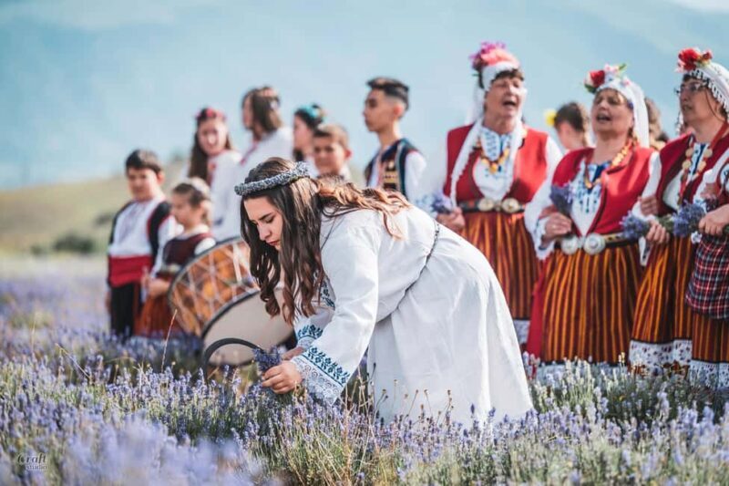 Karlovo: Skip the Line Tickets to Karlovo Lavender Festival - Key Points  