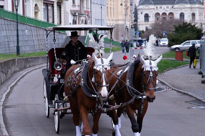 karlovy-vary-visit-the-most-beautiful-spa-town-in-private-tour
