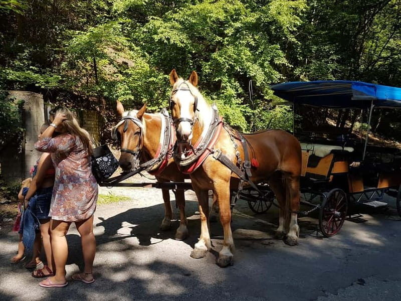 Karltejn and Big America quarry horse carriage tour - Key Points