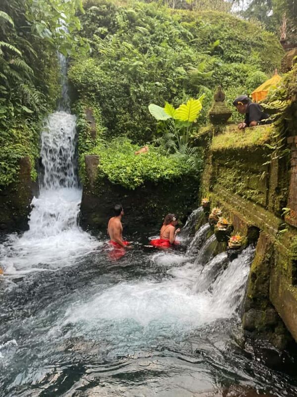 Karma and Clarity Bali Tour - An In-Depth Look at the Experience