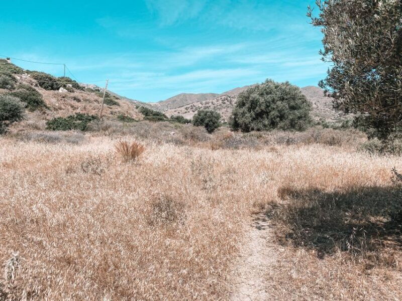 karpathos-easy-guided-nature-and-culture-hike-in-pigadia