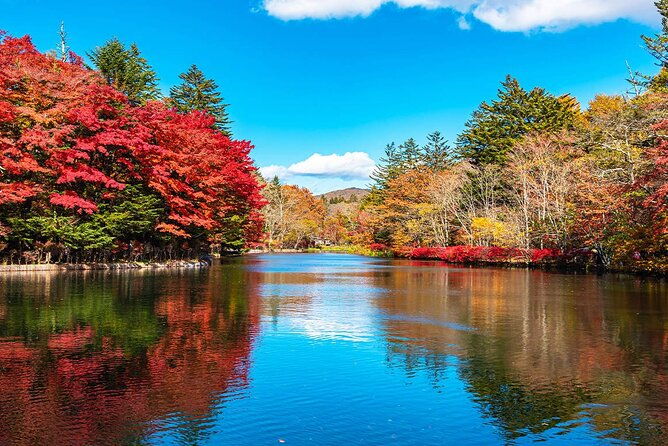 karuizawa-kawagoe-and-hashino-resort-shrine-day-tour-from-tokyo