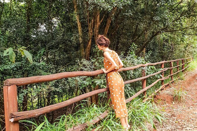 Karura Forest Hiking and Bike Tour - Key Points
