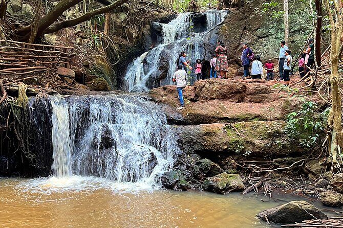 Karura Forest Nature Trail - Key Points