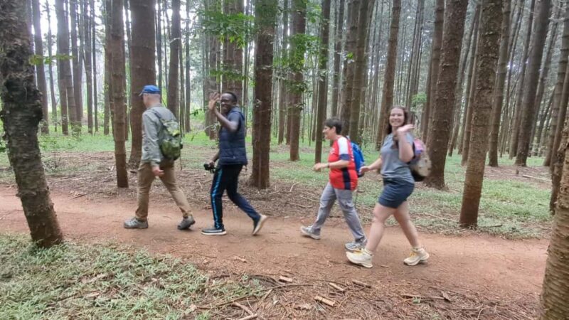 Karura Forest: Walking tour with Nature and Waterfalls. - Key Points