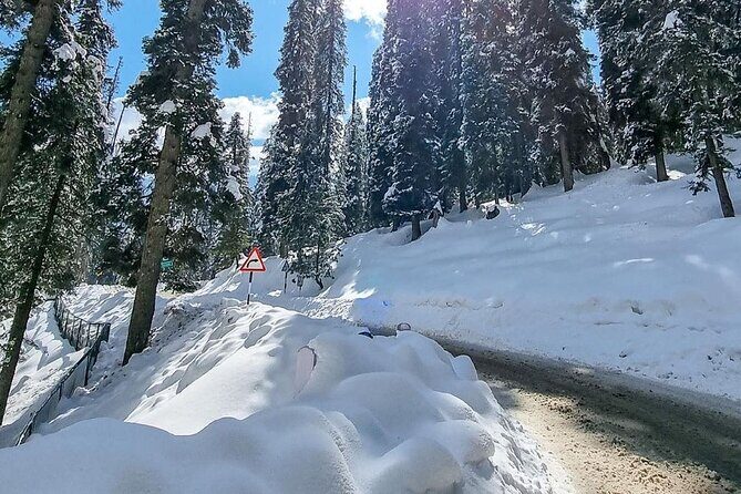 Kashmir Winter Escape - Why Choose the Kashmir Winter Escape?
