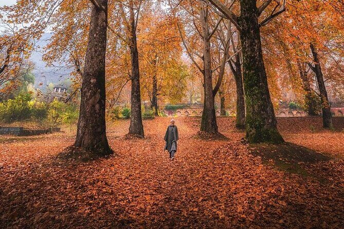 Kashmir Winter Escape - Final Thoughts: Who Will Love This?