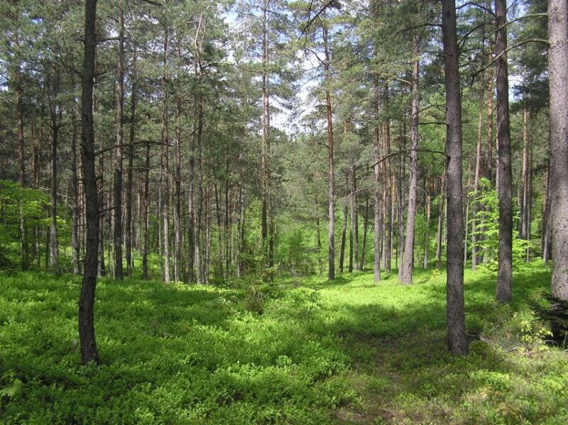 kashubian-switzerland-1-day-private-tour-from-gdansk