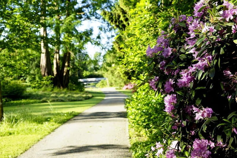 Kassel: Flowers, baroque and art - a walk from the island to the city - A Complete Walk through Kassels Floral, Baroque, and Artistic Highlights