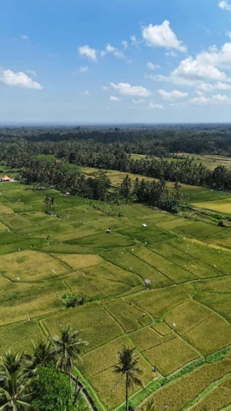 Kastala Tenganan Village Village Trekking - The Itinerary Breakdown