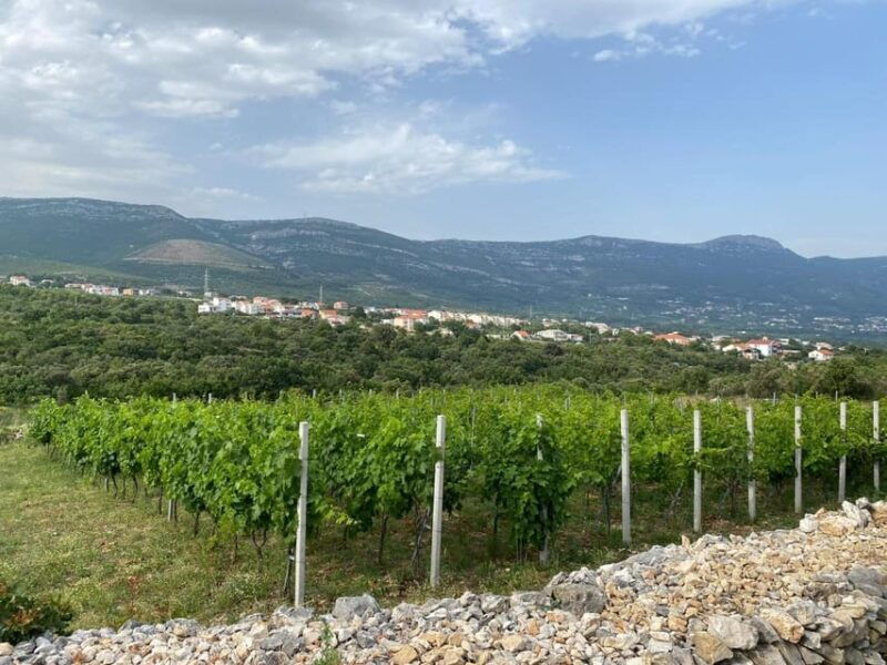 kastela-wine-olive-tasting-tour-w-delicacies-live-music