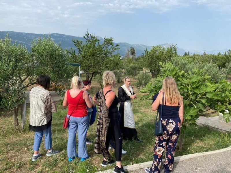 kastela-wine-olive-tasting-tour-w-delicacies-live-music