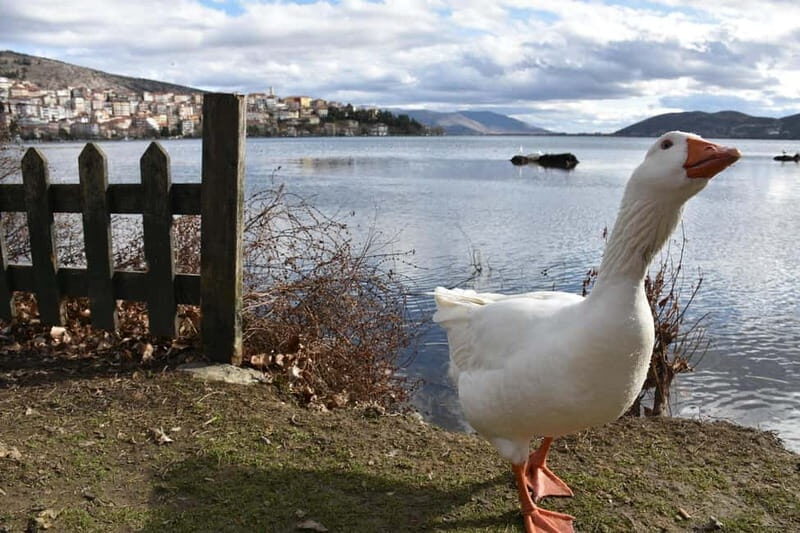 Kastoria: Private Guided City Tour - Practical Details & Considerations