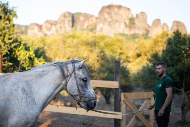 kastraki-meteora-morning-horse-riding-with-monastery-visit