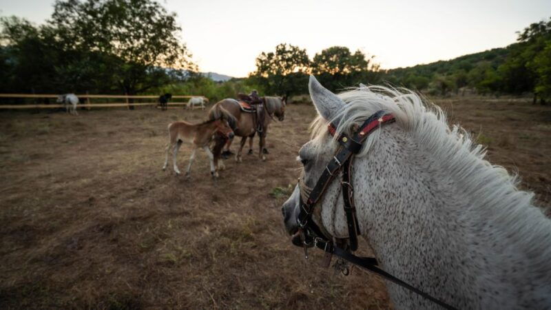 kastraki-meteora-sunset-horseback-riding