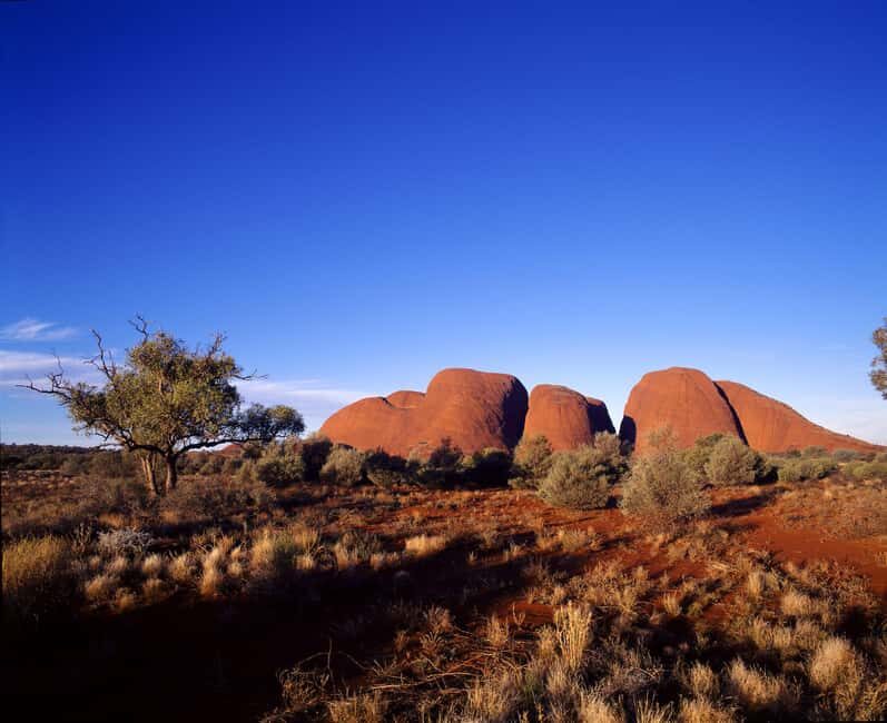 Kata Tjuta Private Guided Sunrise Tour - Final thoughts: Is it worth it?
