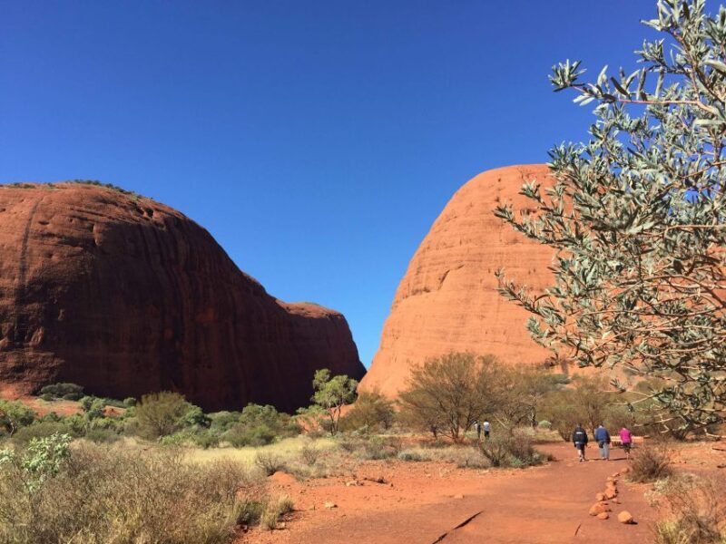 Kata Tjuta: Small Group Sunrise Tour with Picnic Breakfast - Why This Tour Is a Great Choice