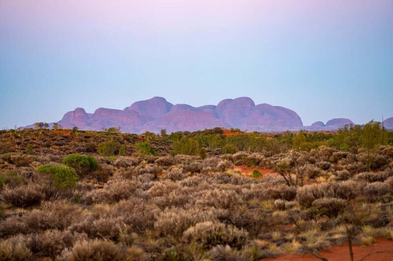 Kata Tjuta: Valley of the Winds Circuit Hike - A Closer Look at the Experience