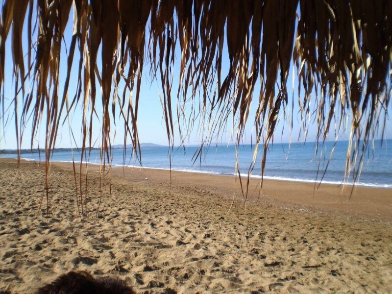 katakolo-ancient-olympia-and-kourouta-beach-guided-tour