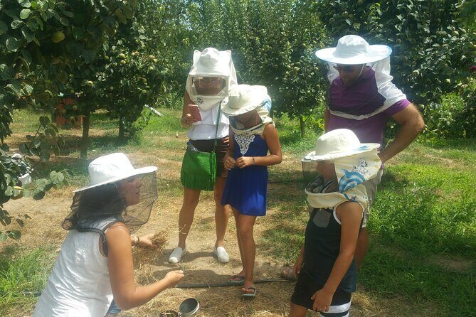 Katakolon Shore Excursion: Olympic site, Honey/Olive Oil Tasting - Authentic Experiences That You’ll Remember