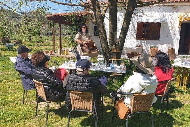 Katakolon Shore Excursion: Olympic site, Honey/Olive Oil Tasting - Who Will Love This Tour?