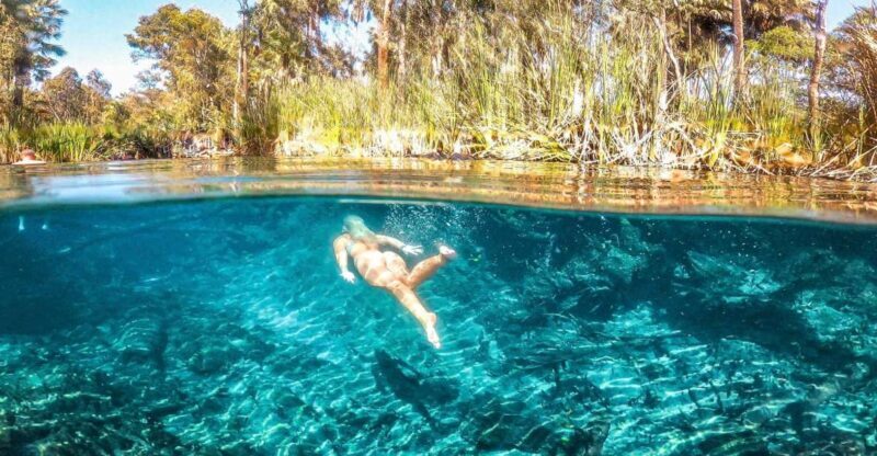 Katherine Gorge - Mataranka - Edith Falls - Adelaide River - Who Should Consider This Tour?