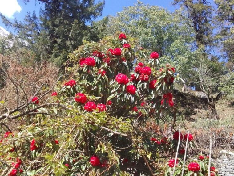 kathmandu-10-day-adventurous-annapurna-circuit-trek