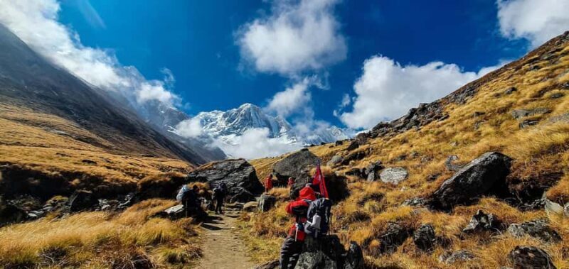 Kathmandu: 14-Day Annapurna Base Camp Trek - The Trek Itself: What You Need to Know