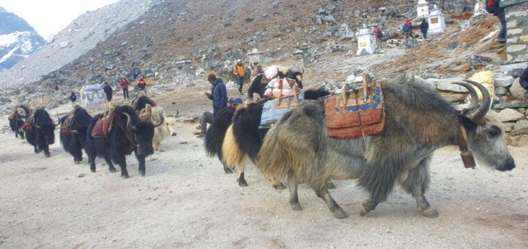 kathmandu-14-day-everest-base-camp-with-kala-patthar-trek