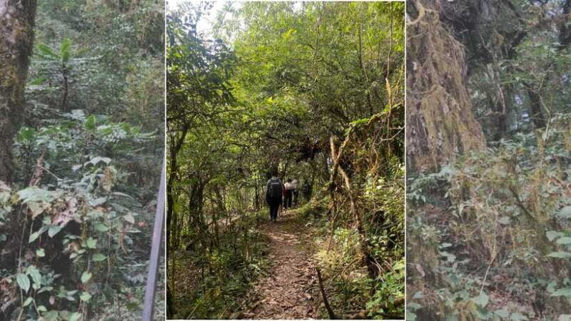 kathmandu-2-day-chisapani-and-nagarkot-hiking-tour