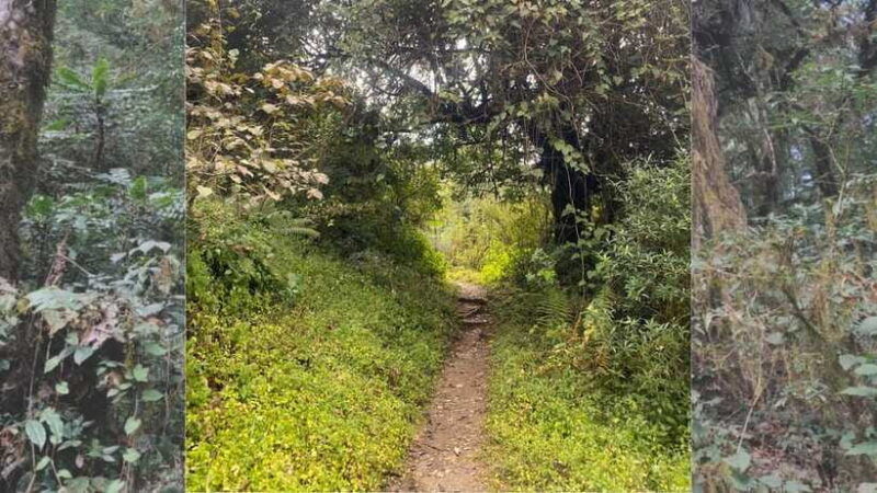 kathmandu-2-day-chisapani-and-nagarkot-hiking-tour