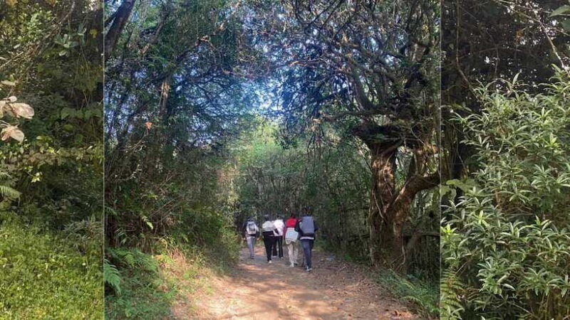 kathmandu-2-day-chisapani-and-nagarkot-hiking-tour