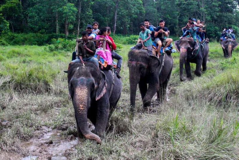 kathmandu-2-day-chitwan-national-park-jungle-safari-tour