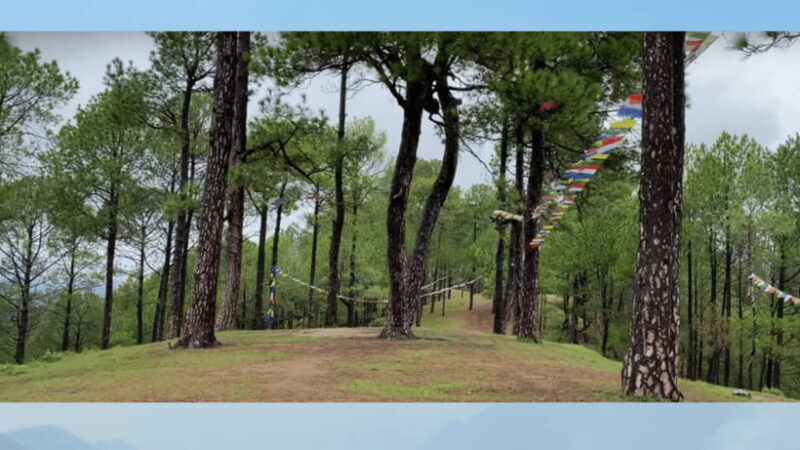 Kathmandu: 3-4 Hrs Hiking at Shivapuri National Park - Kathmandu: 3-4 Hrs Hiking at Shivapuri National Park