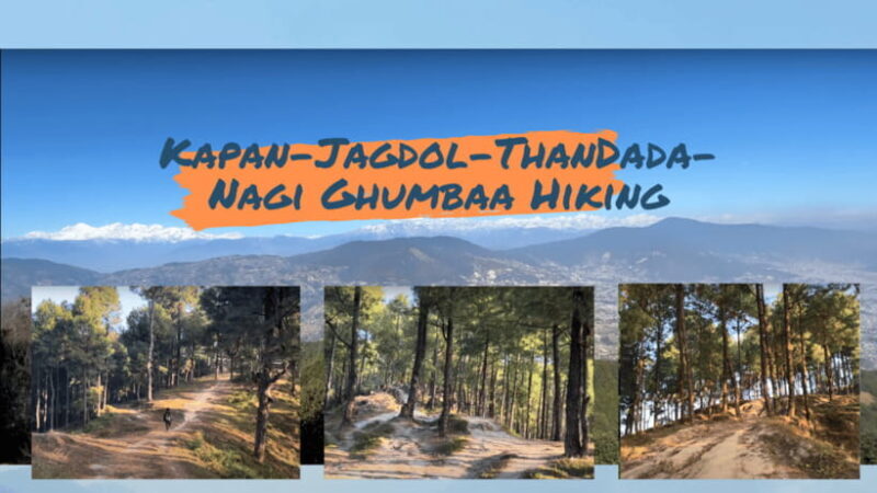 Kathmandu: 3-4 Hrs Hiking at Shivapuri National Park - Why This Tour Works Well