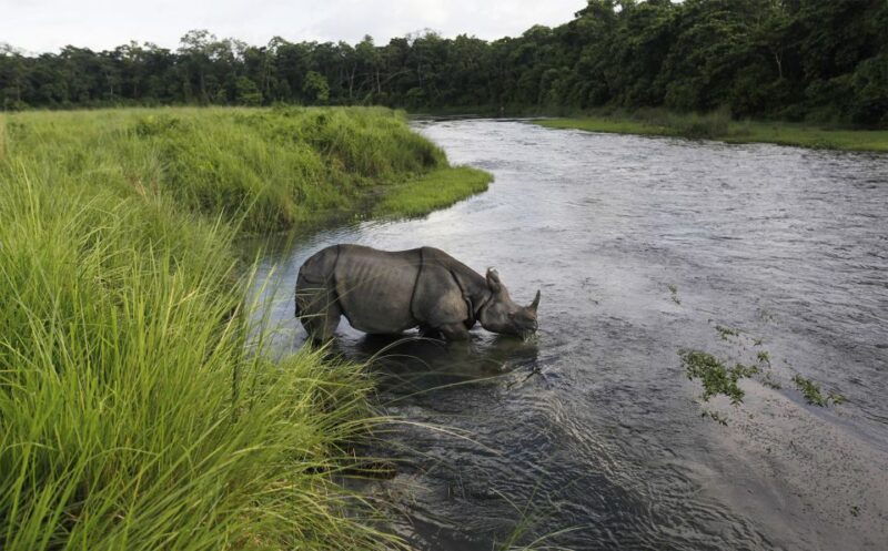 kathmandu-3-day-chitwan-safari-tour-with-hotel-transfers