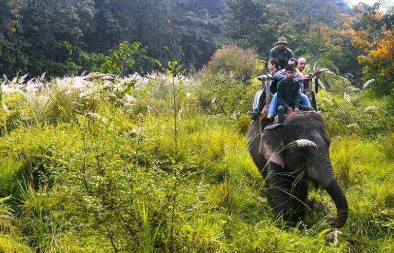 kathmandu-3-day-chitwan-safari-tour-with-transfers