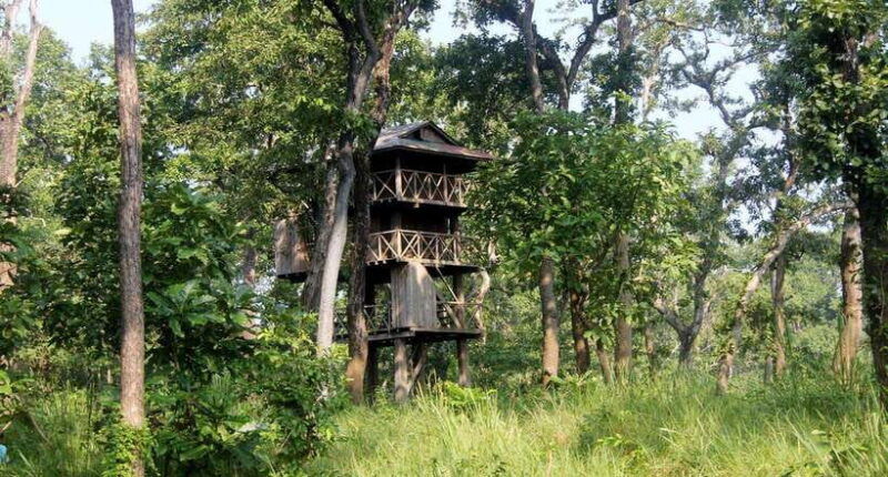 kathmandu-3-day-chitwan-safari-tour-with-transfers