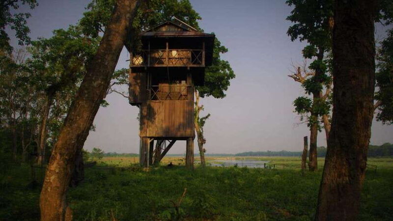kathmandu-3-day-chitwan-safari-tour-with-transfers