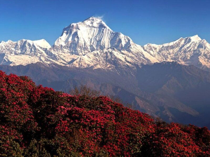 kathmandu-3-day-ghorepani-poon-hill-guided-trek