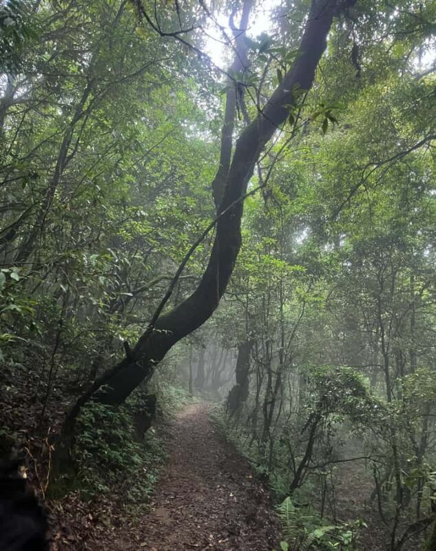 Kathmandu: 3-Day Shivapuri Wellness & Recreation Package - Why This Tour Offers Great Value