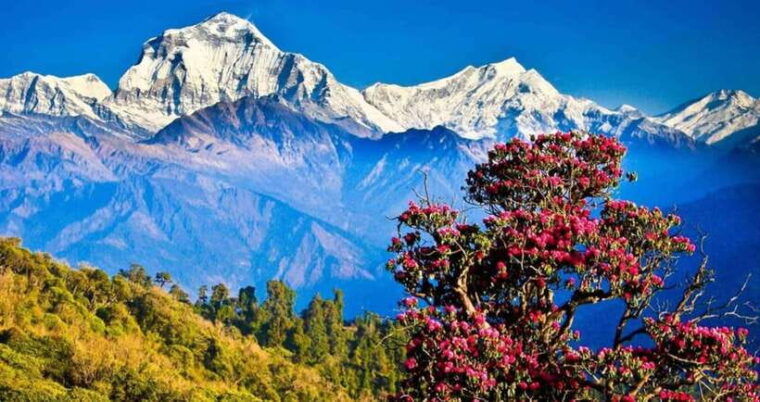 kathmandu-3-days-chispani-nagarkot-trek