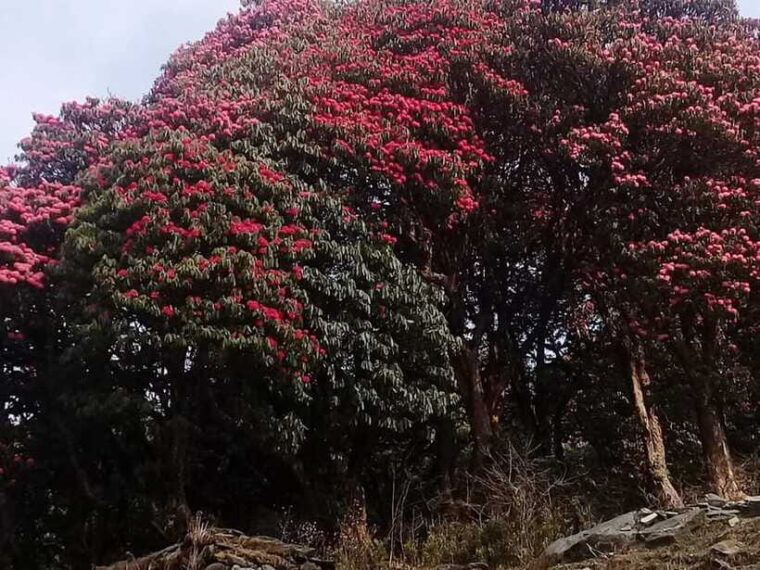 kathmandu-3-days-chispani-nagarkot-trek