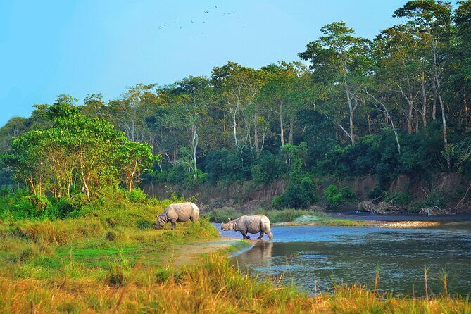 Kathmandu: 3 Days Chitwan Jungle Safari Private Tour - Exploring the Itinerary: What to Expect Each Day