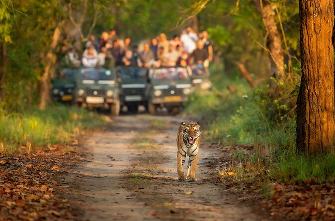 Kathmandu: 3 Days Chitwan Jungle Safari Private Tour - Who Should Book This Tour?