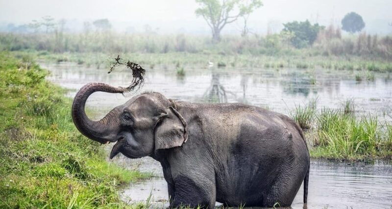 kathmandu-3-days-luxury-chitwan-tour-with-flights