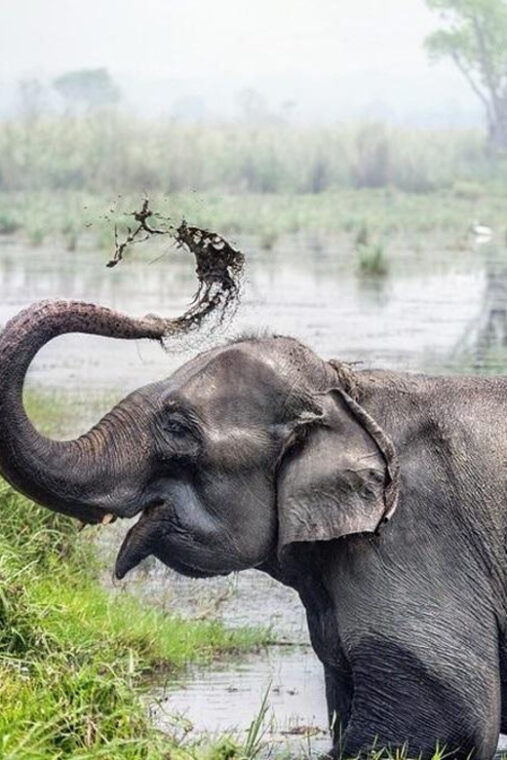 kathmandu-3-days-luxury-chitwan-tour-with-flights