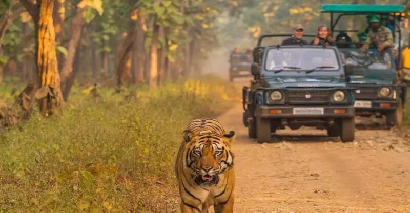 kathmandu-4-day-private-chitwan-national-park-safari-tour