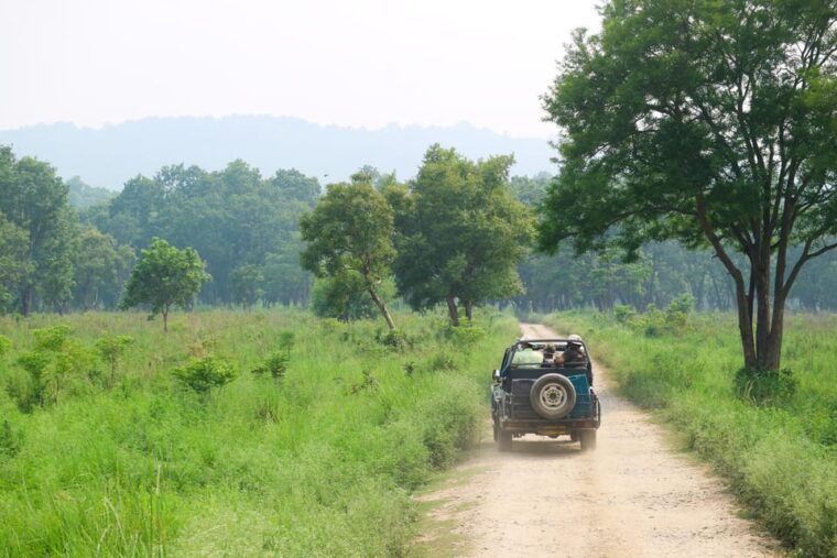 kathmandu-4-day-private-chitwan-national-park-safari-tour