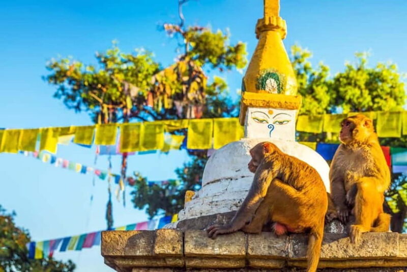 Kathmandu 4-Heritage Sites Tour - FAQ